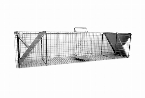 pułapka na kuny.jpg